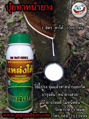 โฆษณาแหล่งใต้.jpg