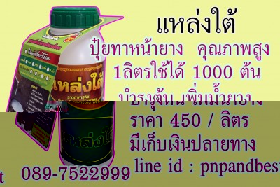 แหล่งใต้ 450.jpg