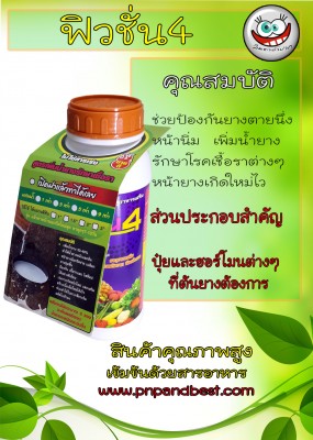 ฟิวชั่น4.jpg