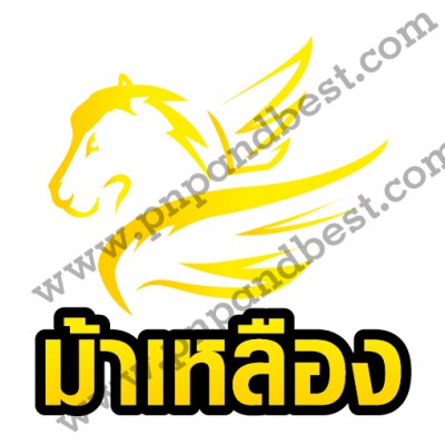 LOGO ม้าเหลือง-01.jpg